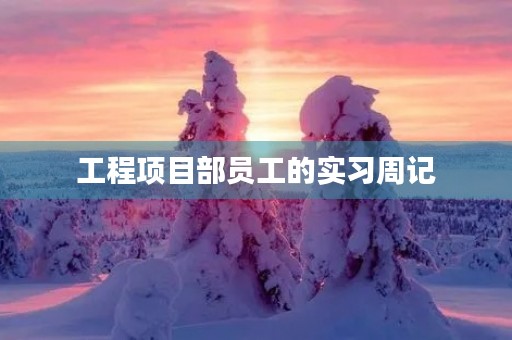 工程项目部员工的实习周记