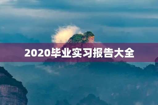 2020毕业实习报告大全 2020毕业实习报告大全