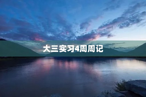 大三实习4周周记