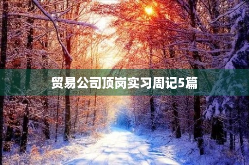 贸易公司顶岗实习周记5篇 贸易公司顶岗实习周记5篇