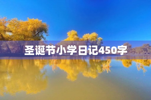 圣诞节小学日记450字 圣诞节小学日记450字