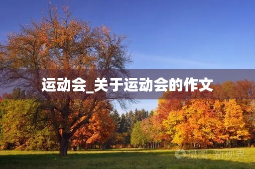 运动会_关于运动会的作文