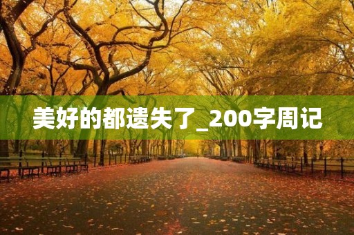 美好的都遗失了_200字周记 美好的都遗失了_200字周记