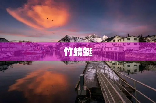 竹蜻蜓 竹蜻蜓