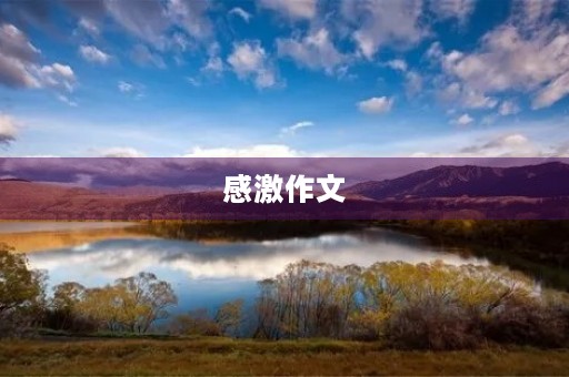 感激作文 感激作文