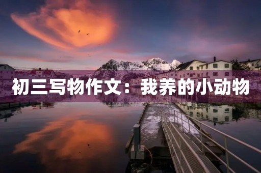 初三写物作文:我养的小动物 初三写物作文:我养的小动物