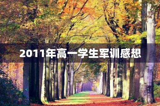 2011年高一学生军训感想 2011年高一学生军训感想