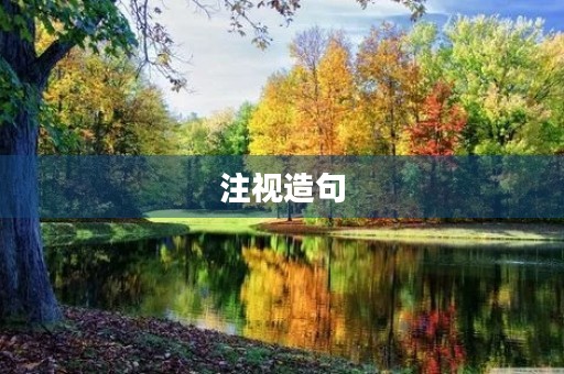 注视造句