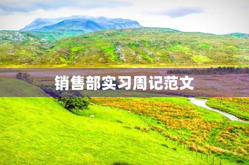 销售部实习周记范文 销售部实习周记范文