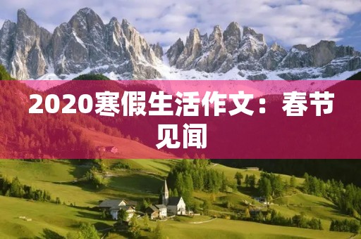 2020寒假生活作文：春节见闻