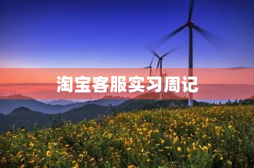 淘宝客服实习周记