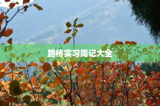 路桥实习周记大全