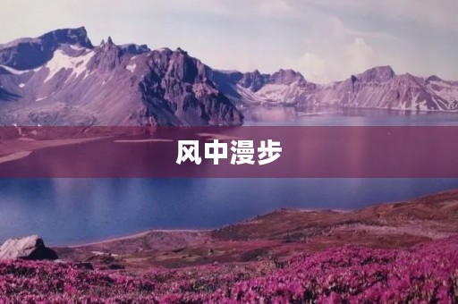 风中漫步