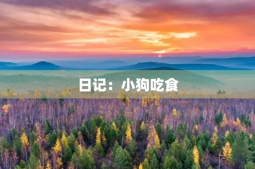 日记：小狗吃食