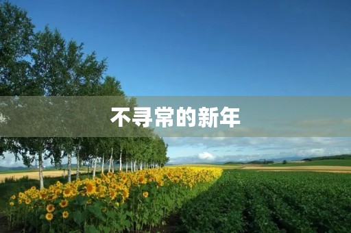 不寻常的新年 不寻常的新年