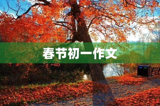 春节初一作文 春节初一作文