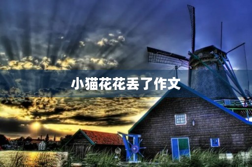 小猫花花丢了作文