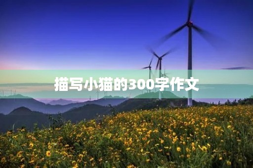 描写小猫的300字作文