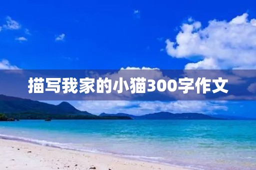 描写我家的小猫300字作文 描写我家的小猫300字作文