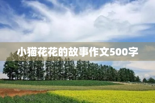小猫花花的故事作文500字