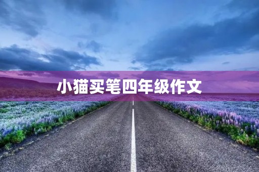 小猫买笔四年级作文