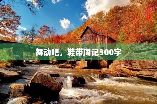 舞动吧,鞋带周记300字 舞动吧,鞋带周记300字