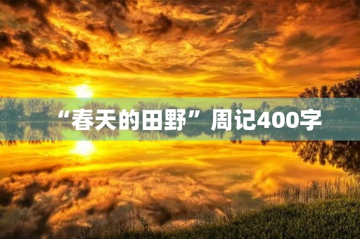 “春天的田野”周记400字