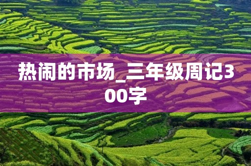 热闹的市场_三年级周记300字