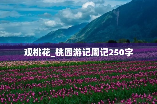 观桃花_桃园游记周记250字