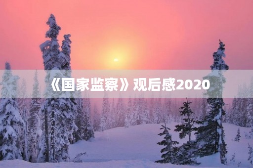 《国家监察》观后感2020 《国家监察》观后感2020