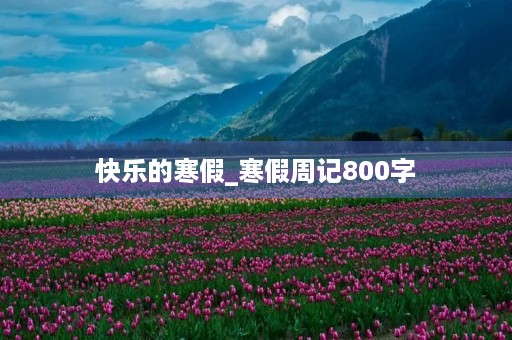 快乐的寒假_寒假周记800字 快乐的寒假_寒假周记800字
