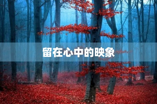 留在心中的映象