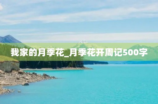 我家的月季花_月季花开周记500字 我家的月季花_月季花开周记500字