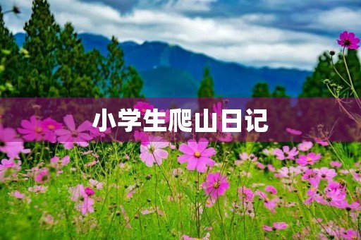 小学生爬山日记 小学生爬山日记