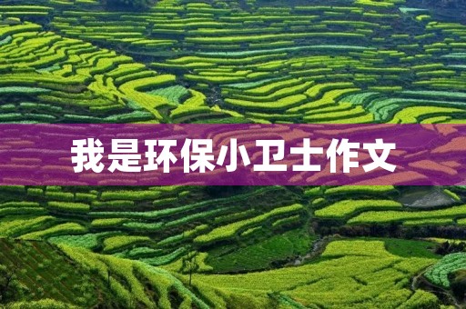 我是环保小卫士作文