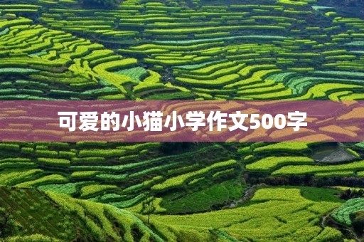 可爱的小猫小学作文500字