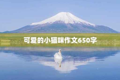 可爱的小猫咪作文650字