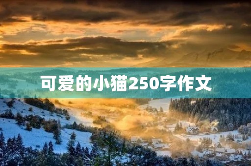 可爱的小猫250字作文 可爱的小猫250字作文
