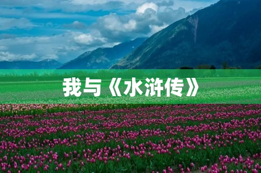 我与《水浒传》 我与《水浒传》
