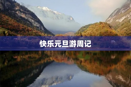 快乐元旦游周记
