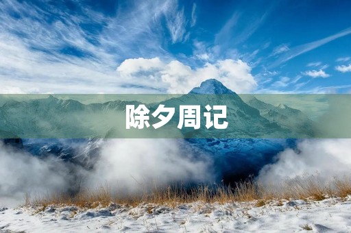 除夕周记