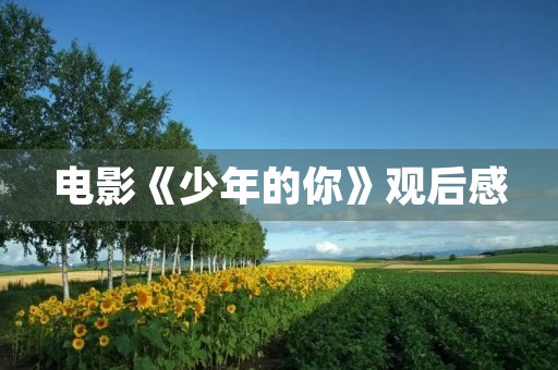 电影《少年的你》观后感