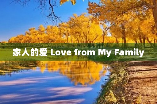 家人的爱 Love from My Family