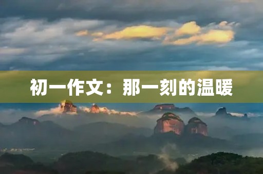 初一作文:那一刻的温暖 初一作文:那一刻的温暖
