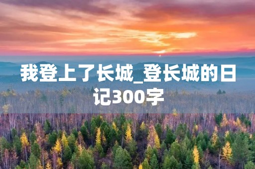 我登上了长城_登长城的日记300字