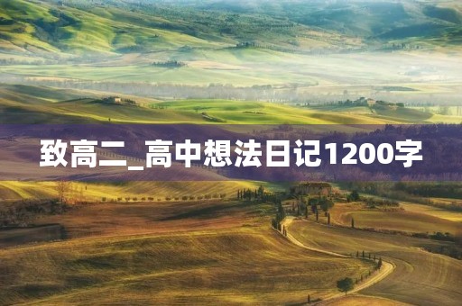 致高二_高中想法日记1200字