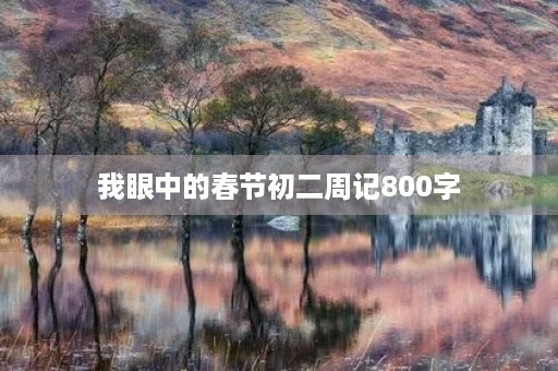 我眼中的春节初二周记800字