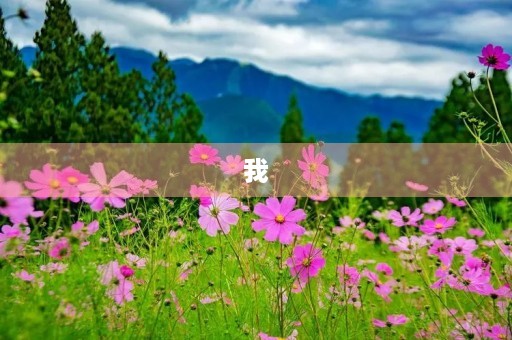 我 我