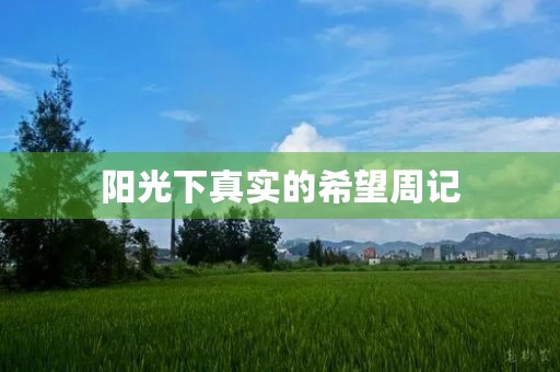阳光下真实的希望周记