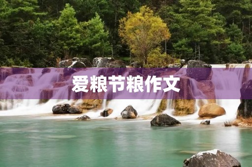 爱粮节粮作文 爱粮节粮作文